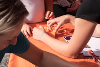 55_science_fest_kristyna.jpg